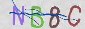 CAPTCHA 驗證圖片