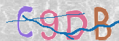 CAPTCHA 驗證圖片