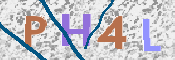 CAPTCHA 驗證圖片