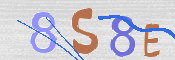 CAPTCHA 驗證圖片