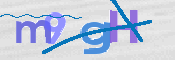 CAPTCHA 驗證圖片