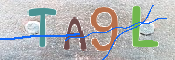 CAPTCHA 驗證圖片