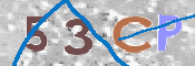CAPTCHA 驗證圖片