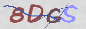 CAPTCHA 驗證圖片