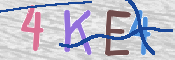 CAPTCHA 驗證圖片