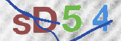 CAPTCHA 驗證圖片