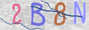 CAPTCHA 驗證圖片