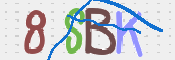 CAPTCHA 驗證圖片