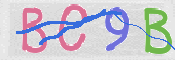 CAPTCHA 驗證圖片