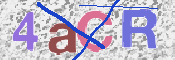CAPTCHA 驗證圖片