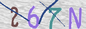 CAPTCHA 驗證圖片