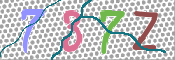 CAPTCHA 驗證圖片