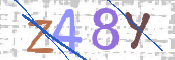 CAPTCHA 驗證圖片