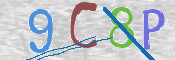 CAPTCHA 驗證圖片