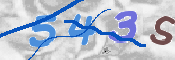 CAPTCHA 驗證圖片