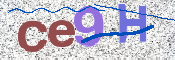 CAPTCHA 驗證圖片