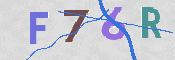 CAPTCHA 驗證圖片
