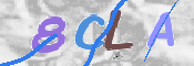CAPTCHA 驗證圖片