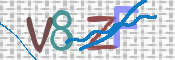 CAPTCHA 驗證圖片