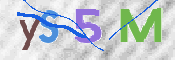 CAPTCHA 驗證圖片