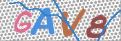 CAPTCHA 驗證圖片
