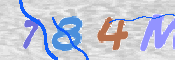 CAPTCHA 驗證圖片