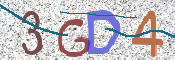 CAPTCHA 驗證圖片