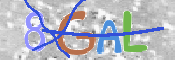 CAPTCHA 驗證圖片