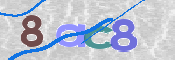 CAPTCHA 驗證圖片