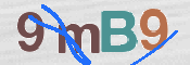 CAPTCHA 驗證圖片
