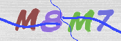 CAPTCHA 驗證圖片