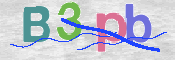 CAPTCHA 驗證圖片