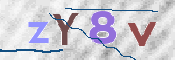 CAPTCHA 驗證圖片