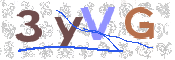 CAPTCHA 驗證圖片