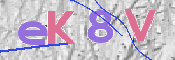 CAPTCHA 驗證圖片