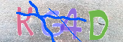 CAPTCHA 驗證圖片