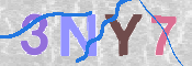 CAPTCHA 驗證圖片