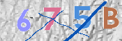 CAPTCHA 驗證圖片