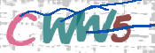 CAPTCHA 驗證圖片