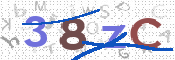 CAPTCHA 驗證圖片