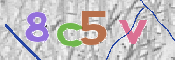 CAPTCHA 驗證圖片
