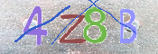 CAPTCHA 驗證圖片
