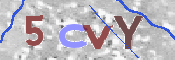CAPTCHA 驗證圖片