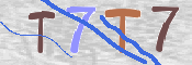 CAPTCHA 驗證圖片
