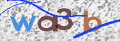 CAPTCHA 驗證圖片
