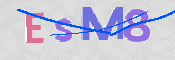 CAPTCHA 驗證圖片