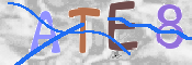 CAPTCHA 驗證圖片