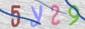CAPTCHA 驗證圖片