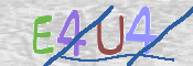 CAPTCHA 驗證圖片