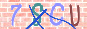 CAPTCHA 驗證圖片